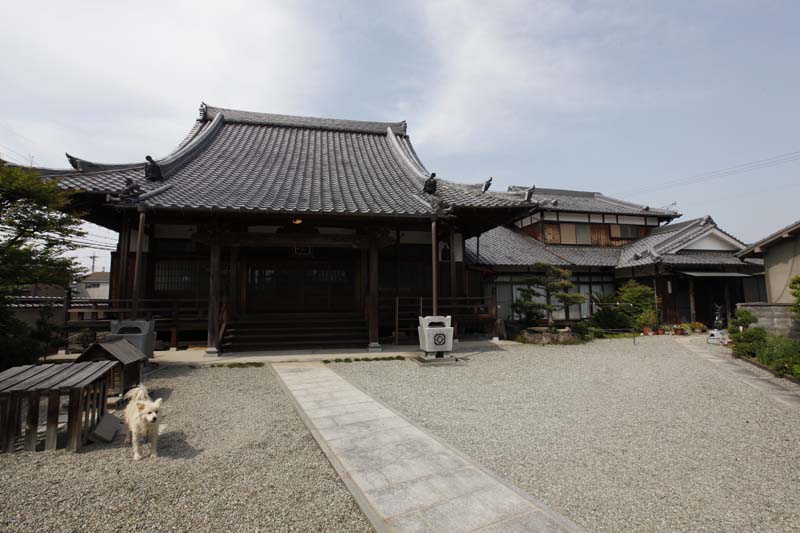 真宗大谷派 真行寺様の修復工事
