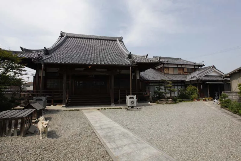 真宗大谷派 真行寺様の修復工事